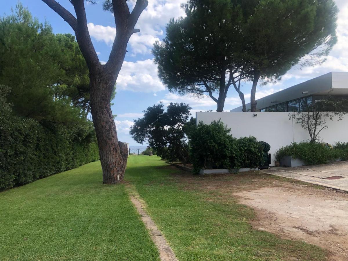 Beachfront Villa Hoopoe Schinias, Marathon Экстерьер фото