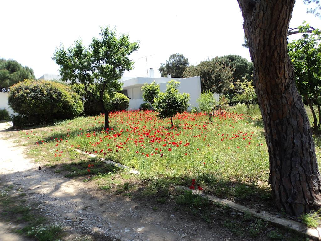 Beachfront Villa Hoopoe Schinias, Marathon Номер фото